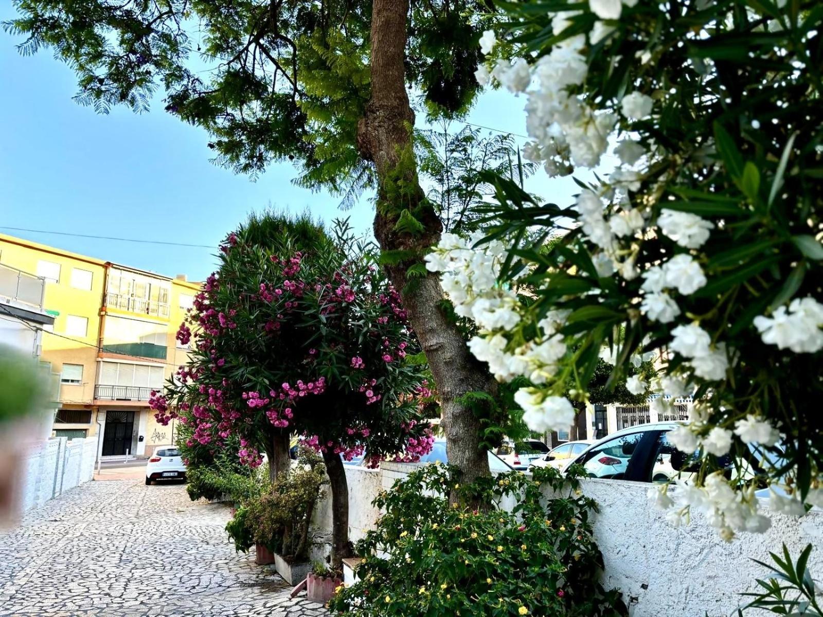リンコン・デ・ラ・ビクトリア Casaflex La Casita De Mis Padres Rincon Victoriaヴィラ エクステリア 写真